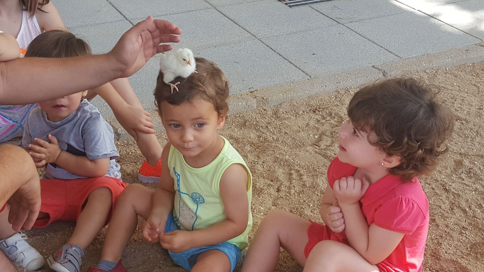 Taller de Taller con animales 2