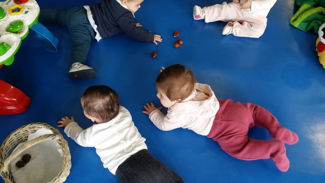 Taller de Desarrollo cognitivo 2