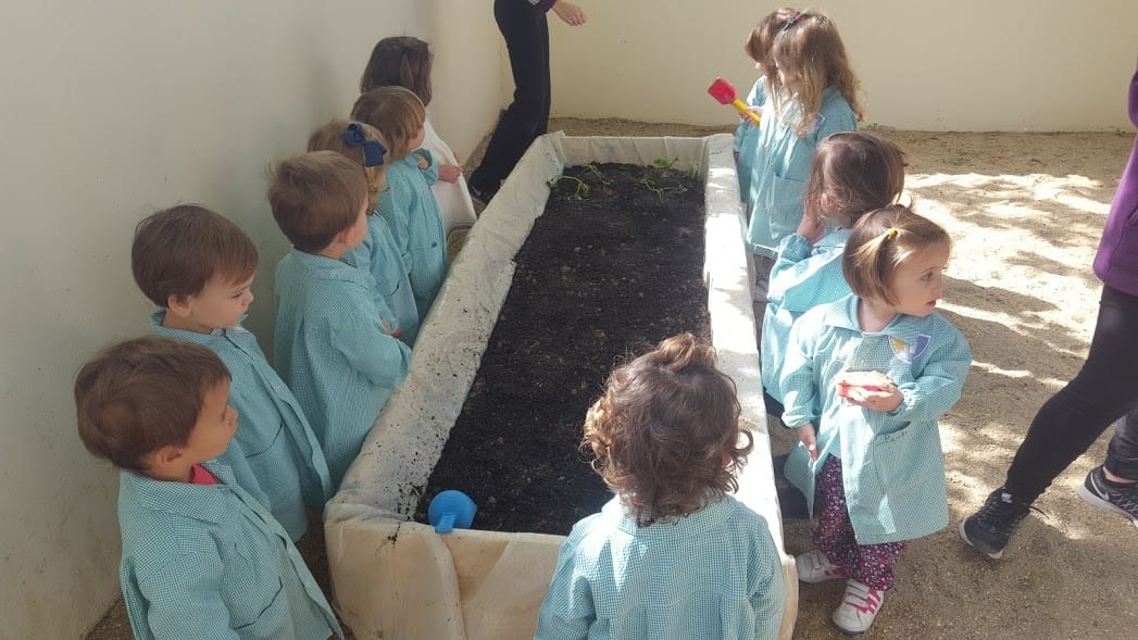 Taller de Taller de huerto y naturaleza 3